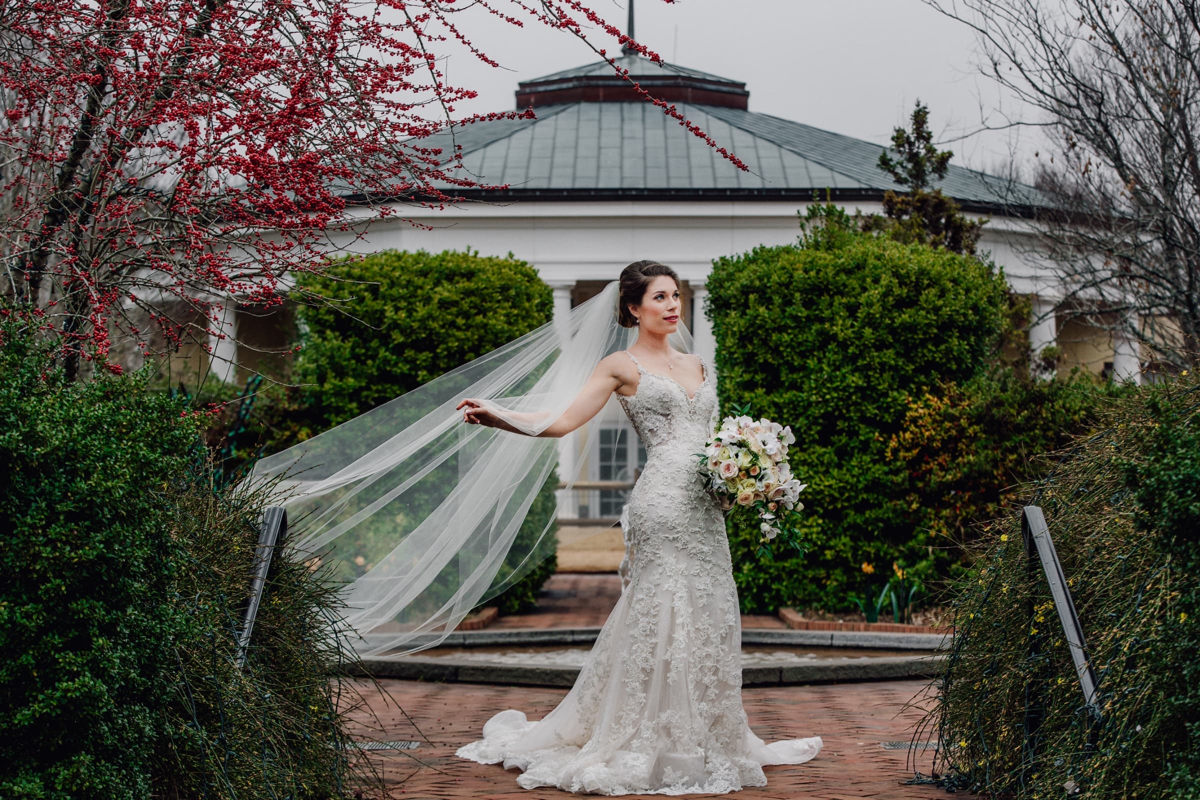 Bride with veil lifting in front of the garden pavilion and winterberry — Daniel Stowe Botanical Garden