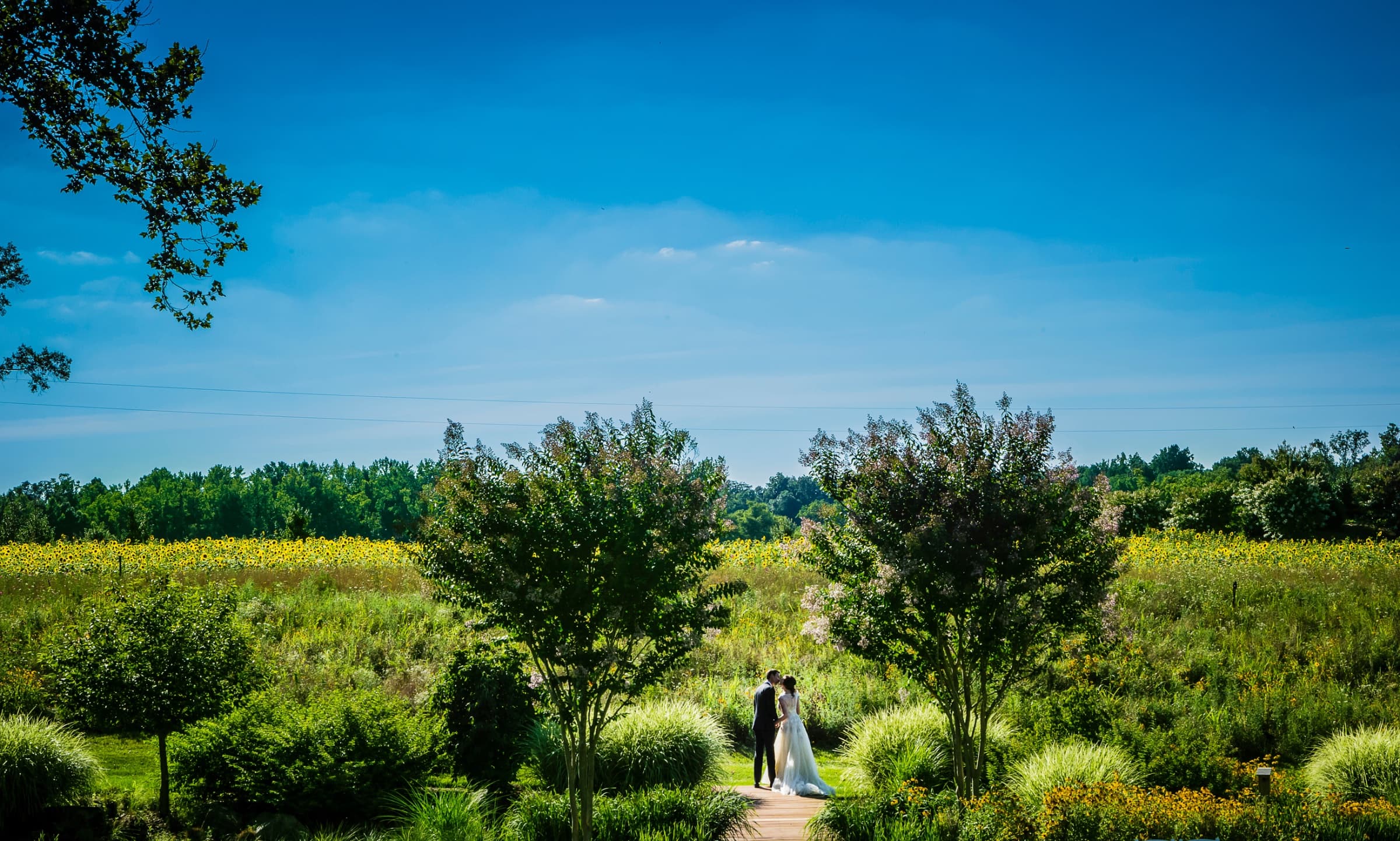 The Arbors wedding venue in Cleveland